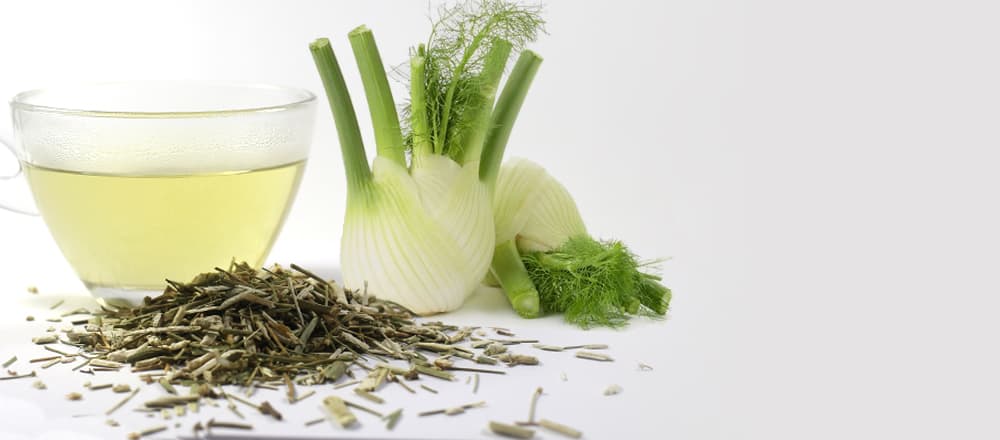 رازیانه عامل کاهش درد قاعدگی از دیدگاه طب سنتی رازیانه عامل کاهش درد قاعدگی از دیدگاه طب سنتی